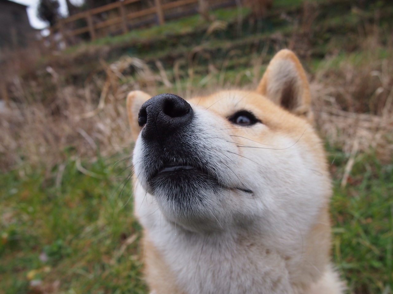 德罗赞的老派艺术，当节奏成为武器，步行者在火箭的疾风中迷失