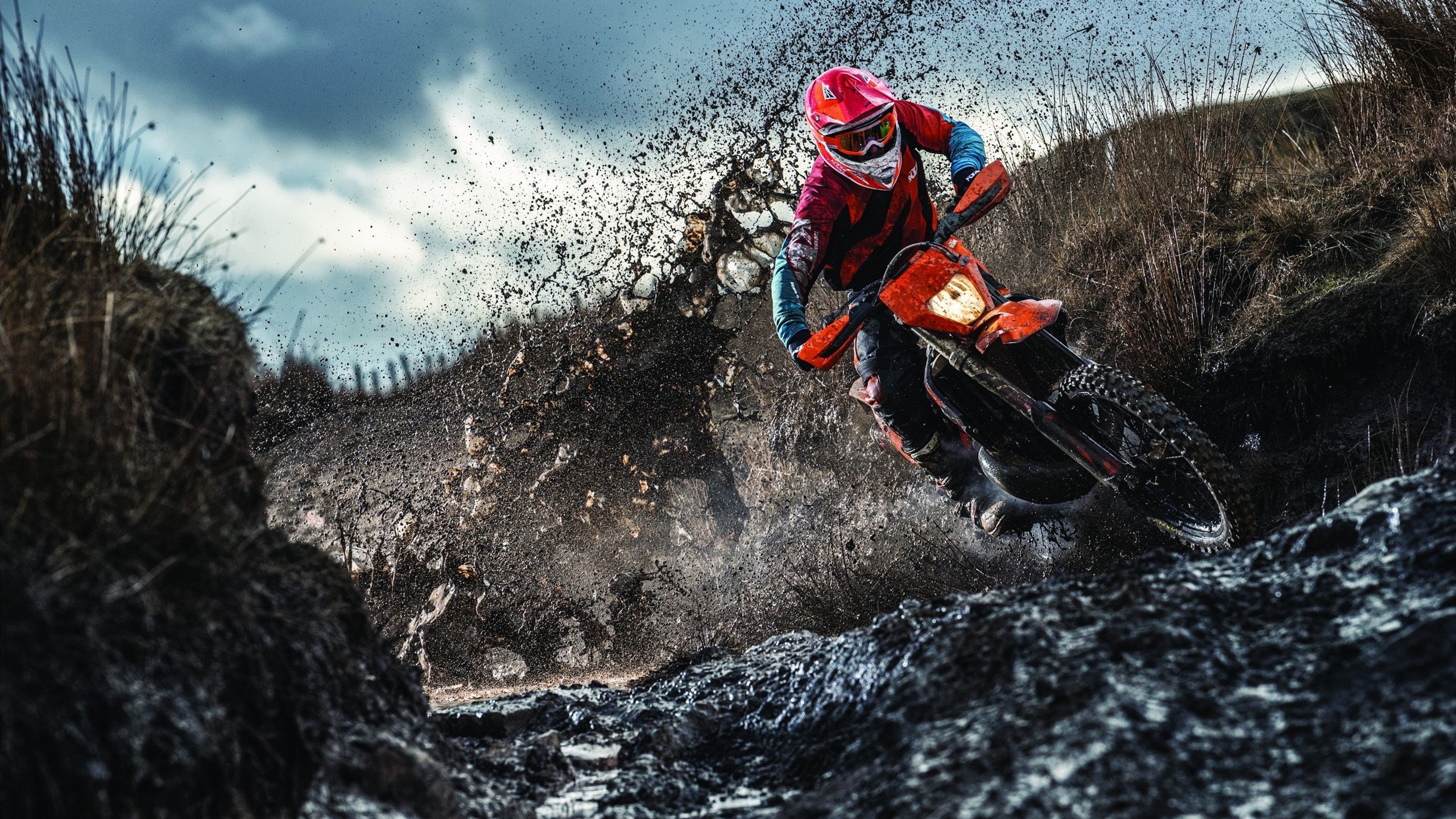 库里射落世界杯！男篮新王炸诞生？